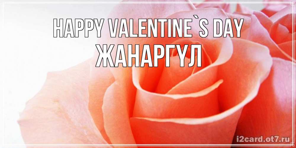 Greetings card с именем, ЖАНАРГҮЛ Happy Valentine`s Day открытка на день Святого Валентина с розовой розой Greetings with text for free download 